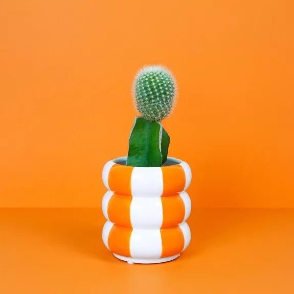 Maceta,Floats,naranja,cerámica,12 cm