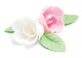 4 rosas surtidas + 6 hojas verdes sin levadura (ampolla)